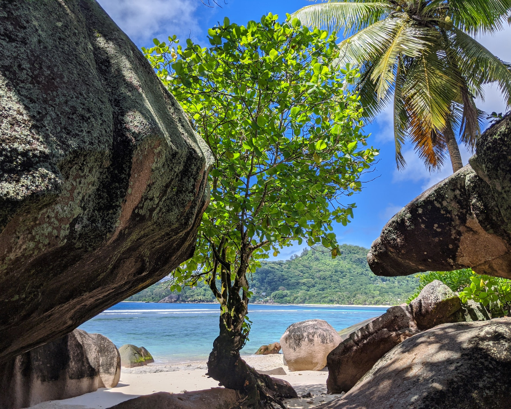 avventure nel mondo seychelles