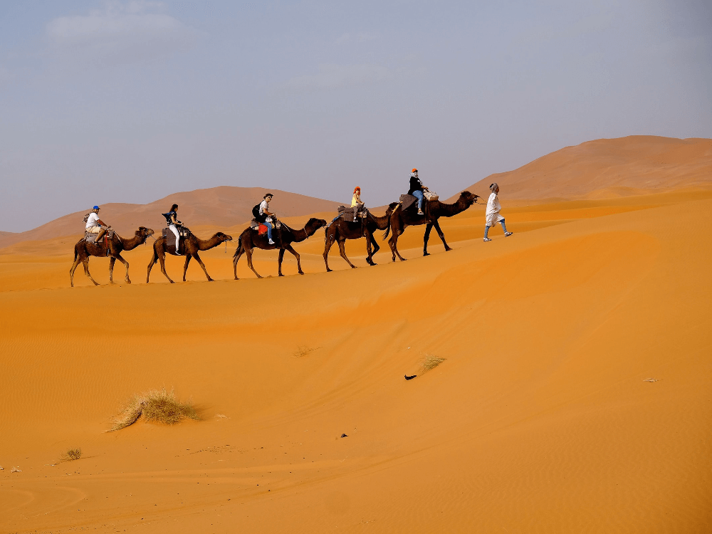 Marocco, Kasbah e Deserti