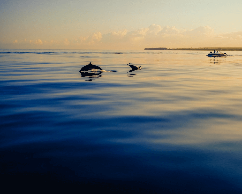 Atuttomondo - Viaggio di gruppo organizzato  nell'Oceano Indiano: Mauritius, atuttomondo