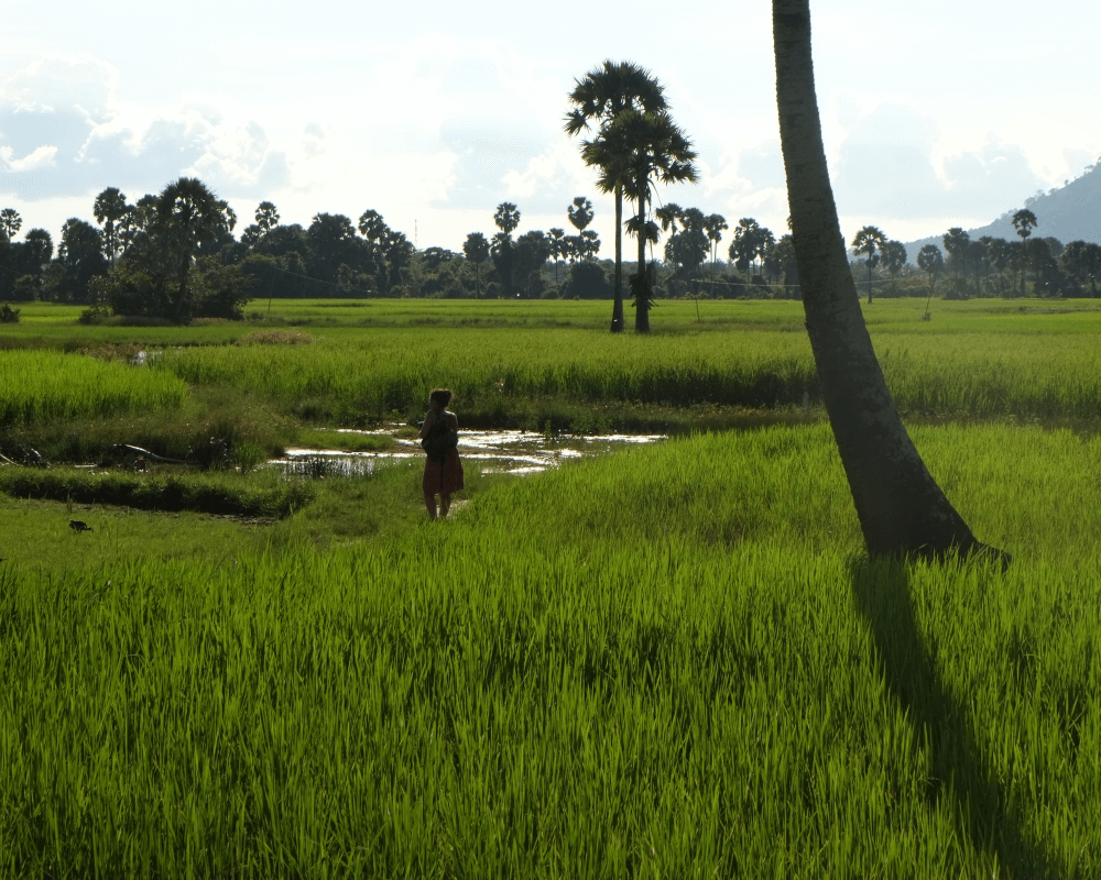 Atuttomondo - viaggio di gruppo organizzato in Cambogia, atuttomondo