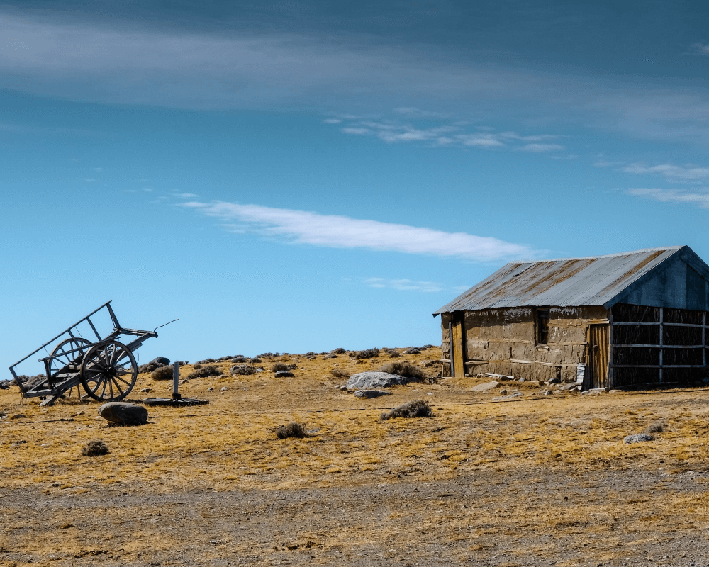 Viaggio di gruppo in Argentina: Patagonia